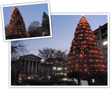 青山学院大学 経済学部 Aoyama Gakuin College Of Economics