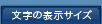 �����̕\���T�C�Y
